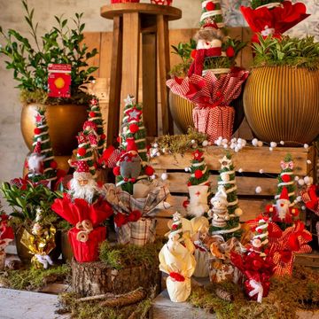 Chamaecyparis лавсониана 'Элвуди'