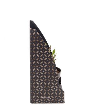 Adenium obesum ANSU BAOBAB