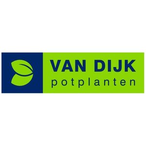 Van Dijk Potplanten