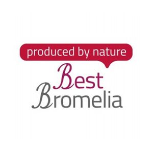 Best Bromelia
