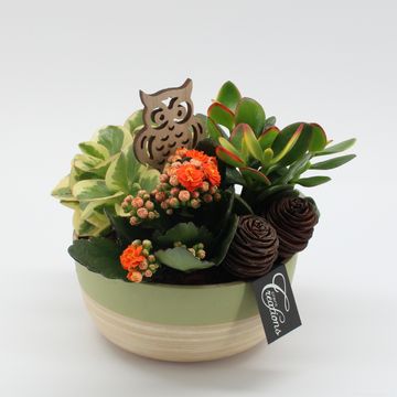 Arrangement Automne