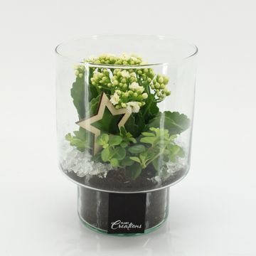 Arrangement Christmas