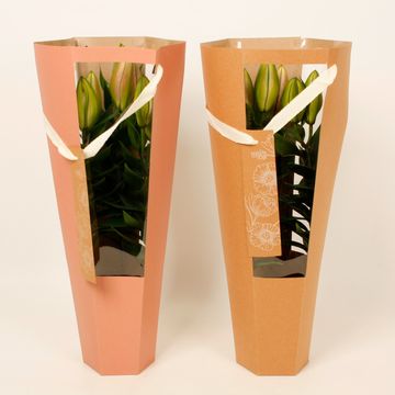 Lilium ORIENTAL HYBRID MIX