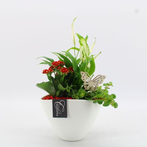 Arreglo  Basic Fundamentals