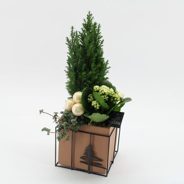 Arrangement Christmas