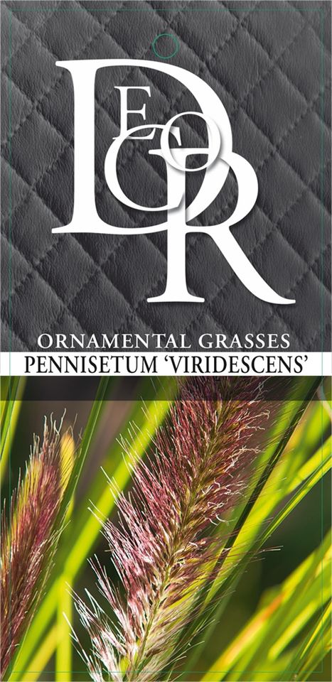 Grasses MIX