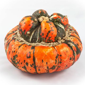 Cucurbita maxima TURK'S TURBAN MIX