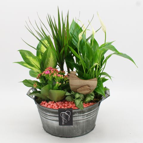 Arrangement Pasen