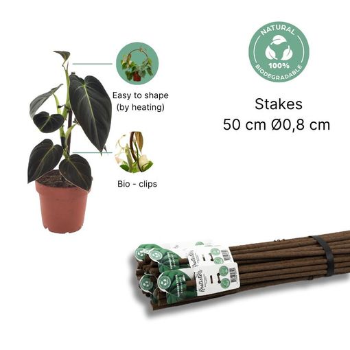 Pinne av mossa - Plant support stick