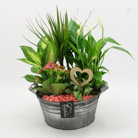 Arrangement Valentine