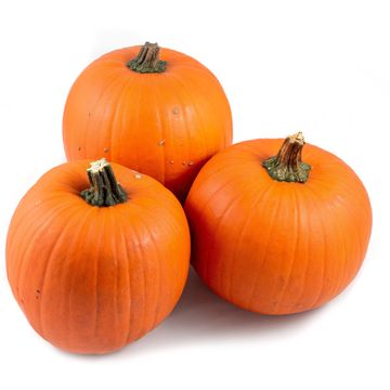 Cucurbita maxima 'Halloween'