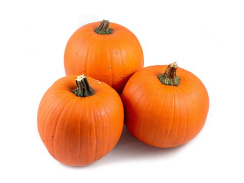 Cucurbita maxima 'Halloween'