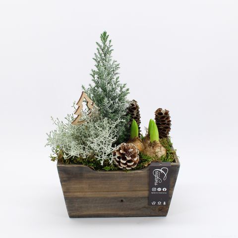 Arrangement Kerst