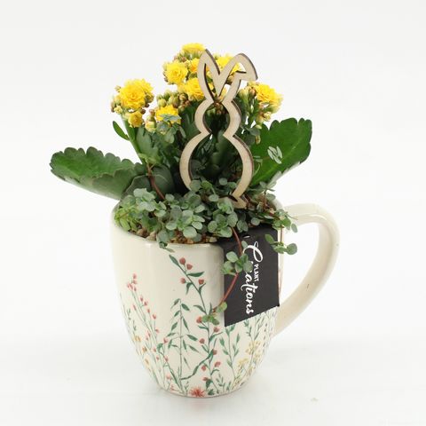 Kомпозиции Пасха