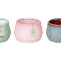 Pot 12 cm