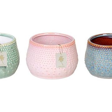 Pot 12 cm