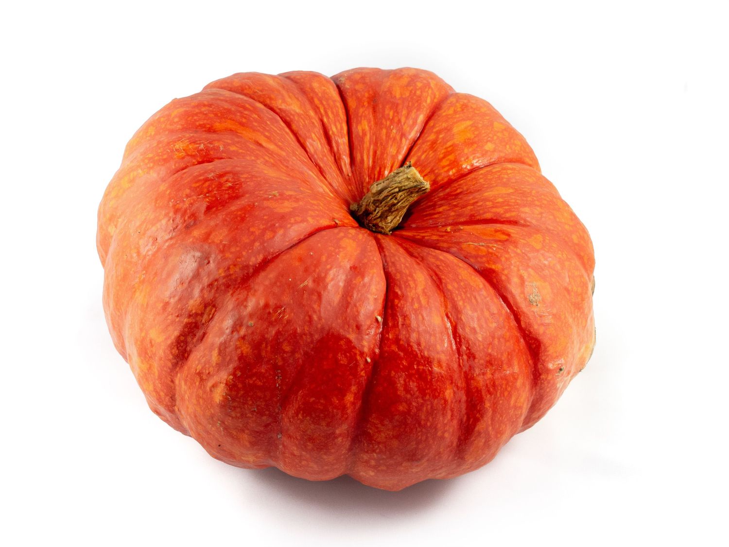 cucurbita-maxima-rouge-vif-d-etampes-plant-wholesale-floraccess