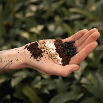 Substrates BONSAI MIX