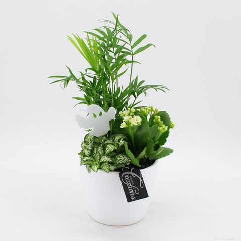 Composizione Halloween