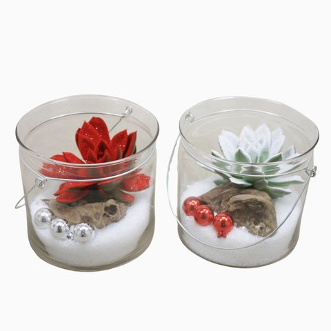 Arrangement Echeveria