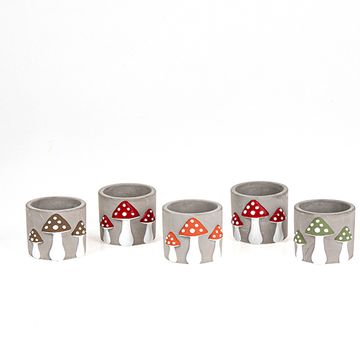Pot 6 cm