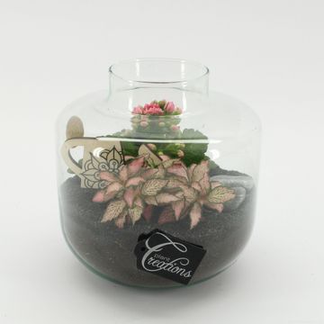 Аранжування Essentials Terrarium