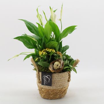 Kомпозиции Пасха