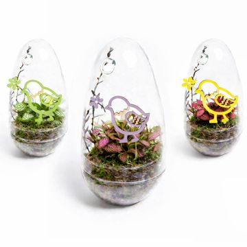 Arrangement Terrarium Easter