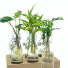 Plantes d'interieur MIX