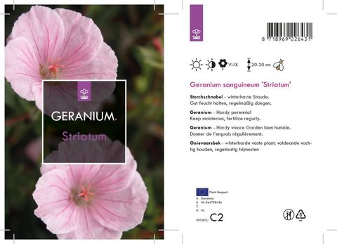 Geranium sanguineum striatum