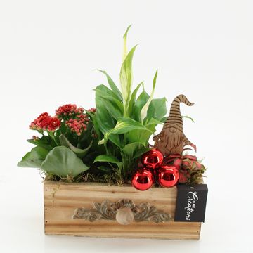 Arrangement Christmas