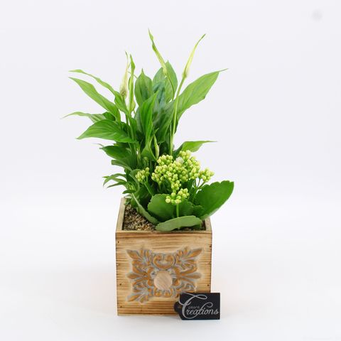 Arrangement Essentials