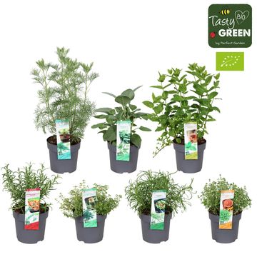 Herbs MIX