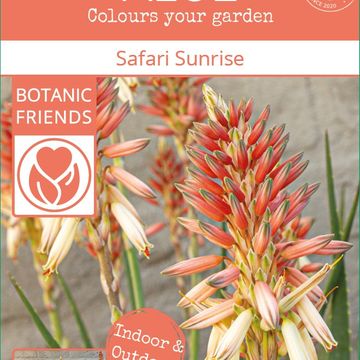 Aloe SAFARI SUNRISE