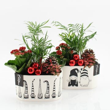 Aranżacja Boże Narodzenie