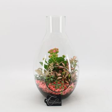 Arreglo  Basic Fundamentals Terrarium