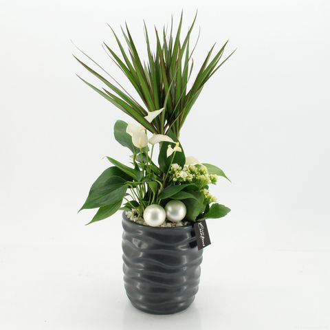 Arrangement Christmas