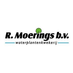 Moerings Waterplanten
