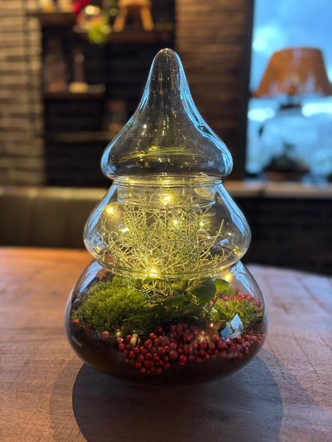 Arrangement Christmas