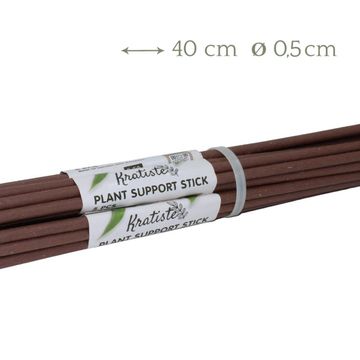 Palo de musgo - Plant support stick