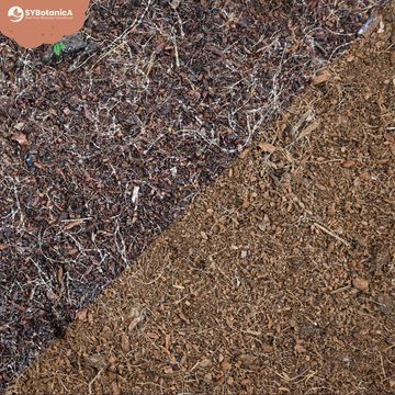Substrates COCO COIR