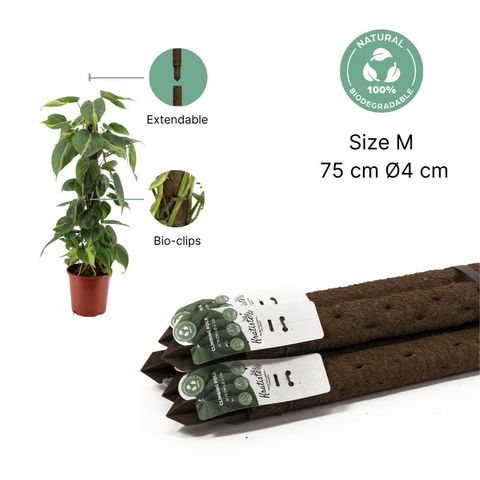 Bastão de musgo - Biodegradable pole