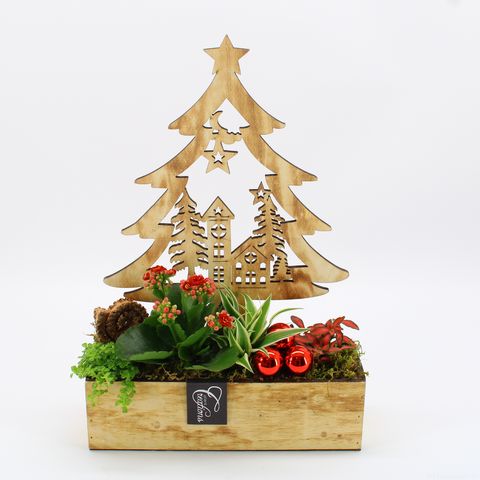 Arrangement Christmas