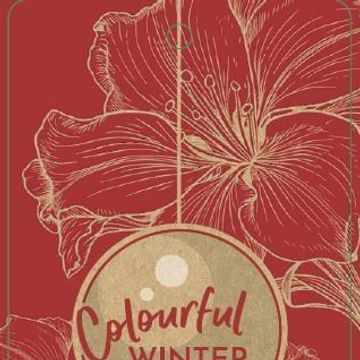 Hippeastrum 'Red Lion'