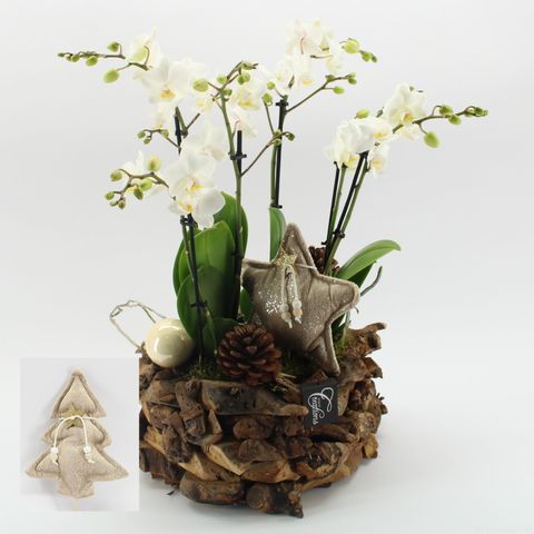 Aranżacja Boże Narodzenie