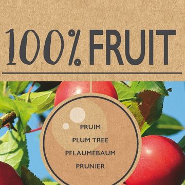 Prunus domestica 'Victoria'