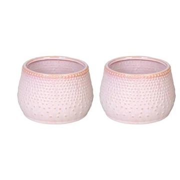 Pot 13 cm