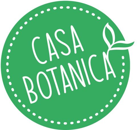 Anthurium hookeri 'Variegata'