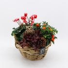 Arrangement Automne