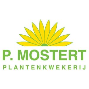 Mostert, Plantenkwekerij P.